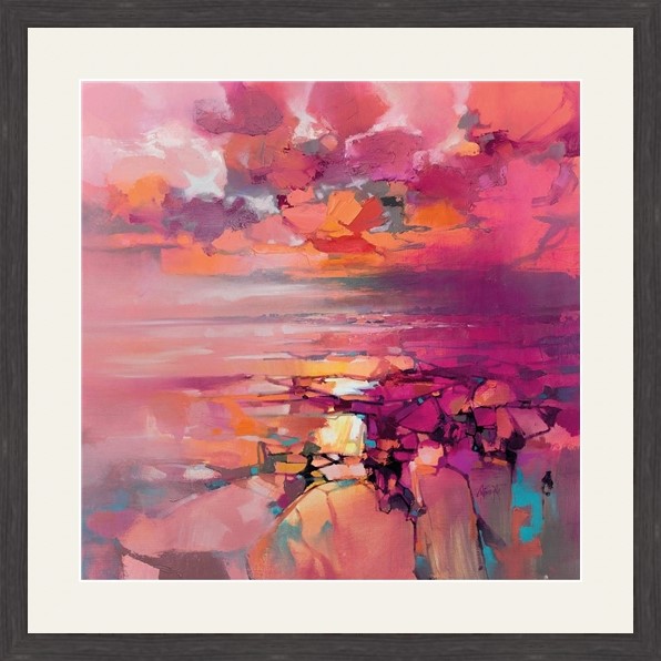 Coral - Image 4